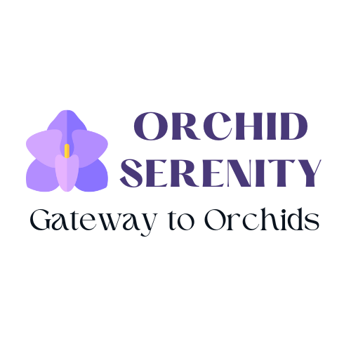 Orchid Serenity
