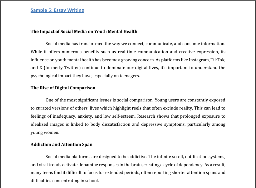 Sample 5: Essay Writing