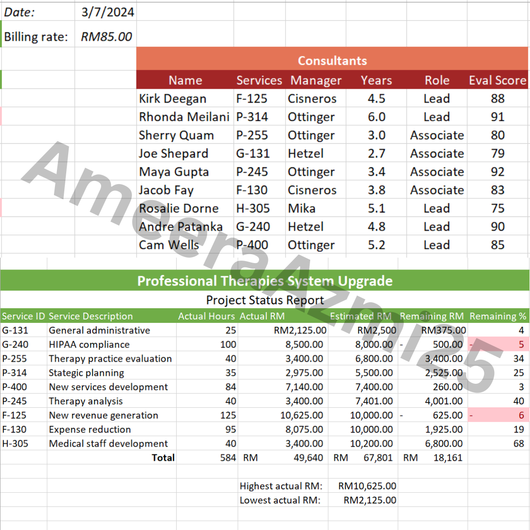 Microsoft Excel