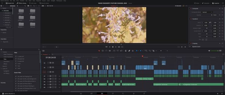 excel, data entry expert, video editor