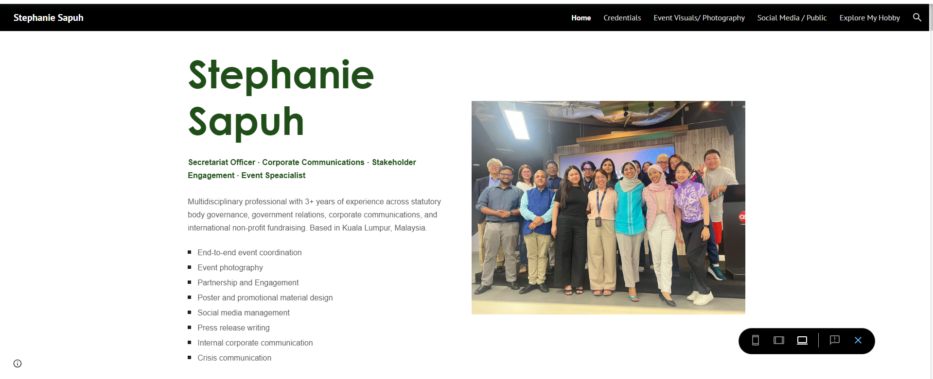 Professional Portfolio